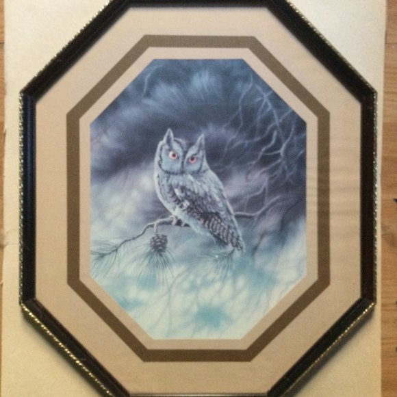 Owl print with octagon frame wall decor - Picture 1 of 5